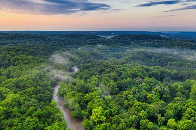 Sme súčasťou projektu CAF - Climate Adapt Forest