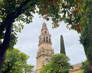 Cordoba